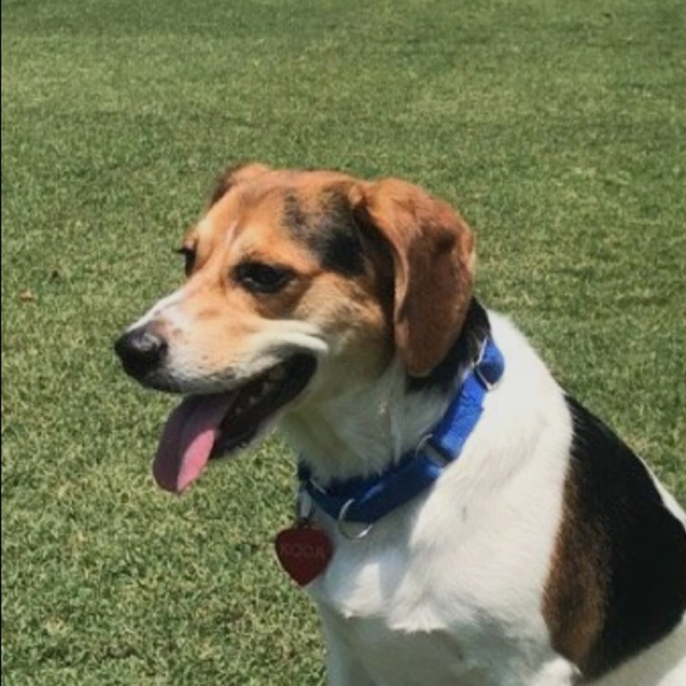 Meet your Posher, Suzanne